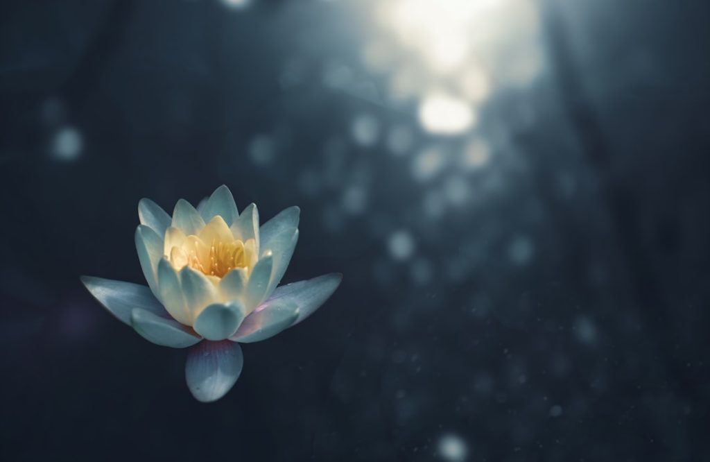 découvrez les bienfaits de la méditation pour votre esprit et votre corps. apprenez des techniques simples pour réduire le stress, améliorer votre concentration et favoriser un bien-être intérieur durable. explorez différentes pratiques de méditation et trouvez celle qui vous convient le mieux.