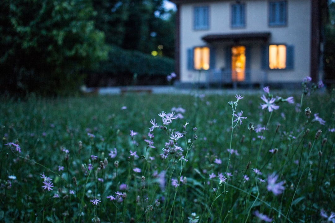 découvrez les prêts pour la rénovation de maison : des solutions financières adaptées pour transformer votre espace de vie tout en gérant votre budget efficacement.