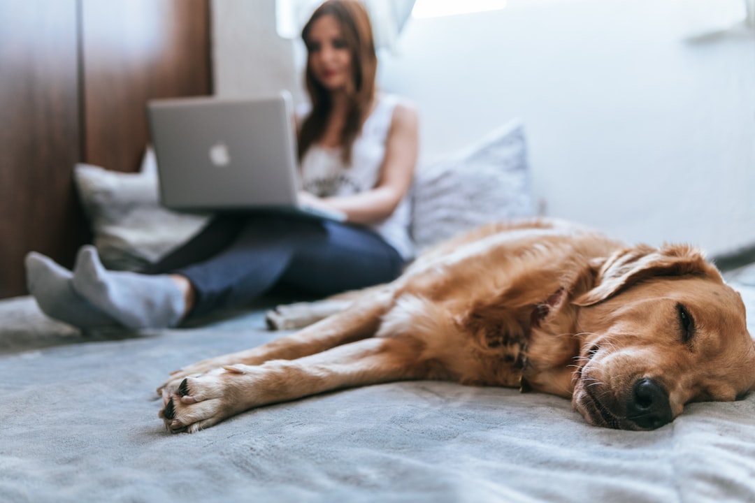 découvrez notre assurance habitation complète qui protège votre maison et vos biens de manière optimale. bénéficiez d'une couverture personnalisée, d'une assistance 24/7 et de tarifs compétitifs pour assurer la tranquillité d'esprit de votre foyer.