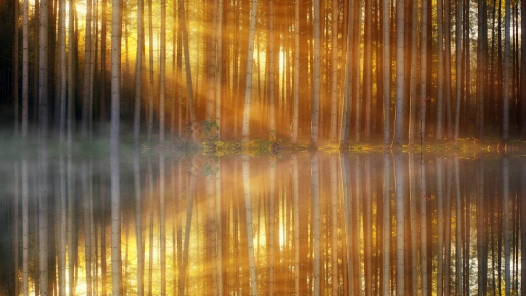 découvrez l'art de la réflexion, un voyage intérieur qui vous invite à explorer vos pensées, à approfondir votre compréhension et à favoriser la créativité. plongez dans un univers d'auto-analyse et d'éveil intellectuel.