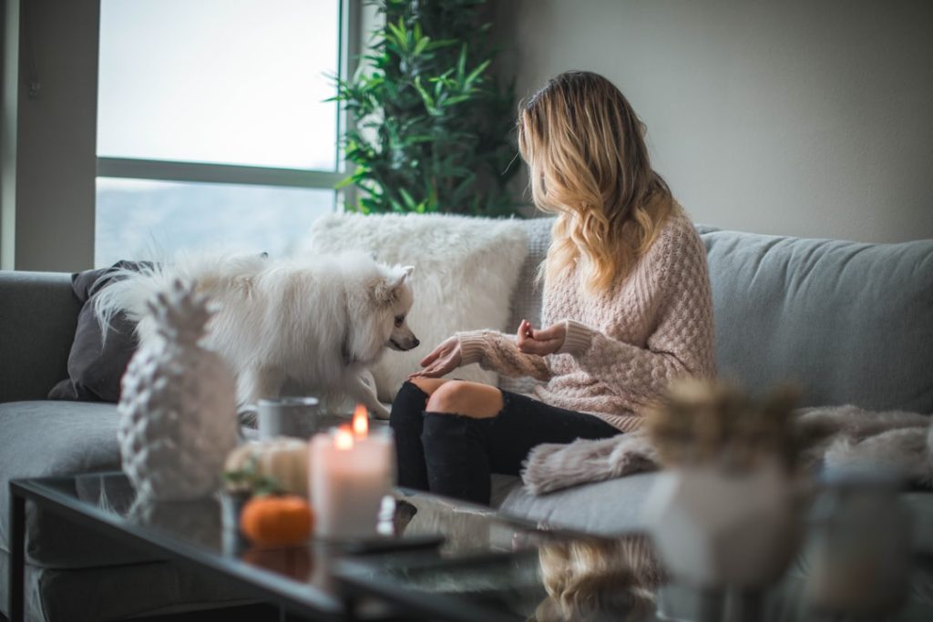 découvrez comment annuler votre assurance habitation facilement et en toute sécurité. suivez notre guide pour comprendre les étapes à suivre, les conséquences possibles et les alternatives qui s'offrent à vous. protégez vos biens tout en prenant la bonne décision.