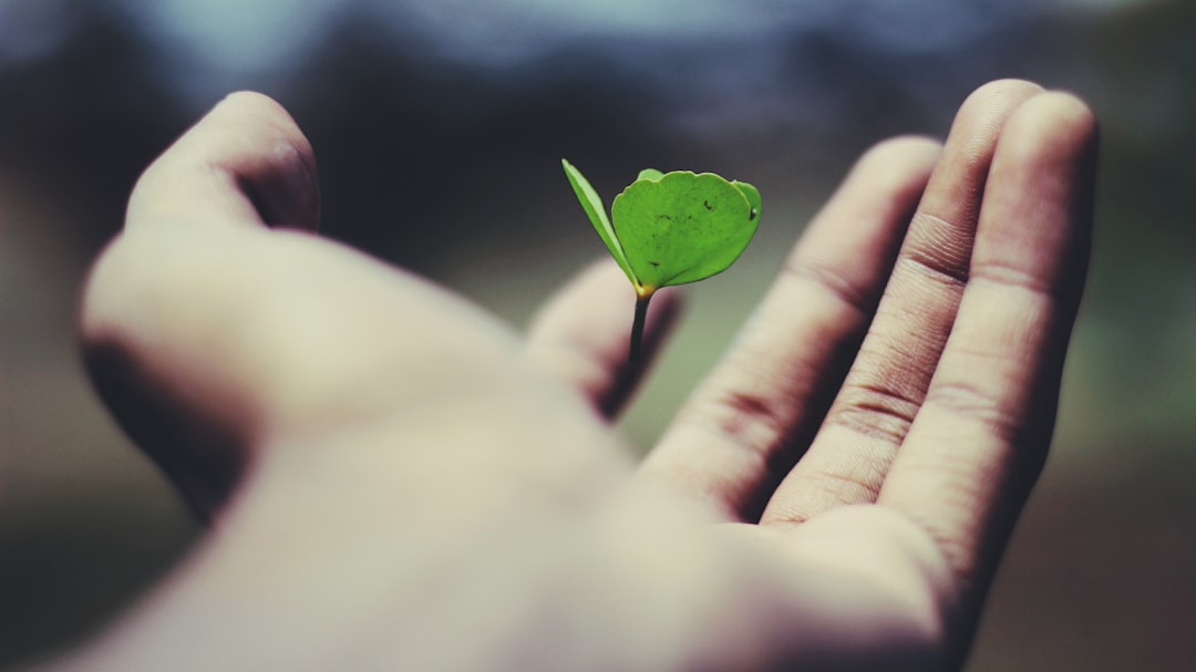 découvrez nos solutions d'assurance adaptées à vos besoins. protégez ce qui compte le plus pour vous avec des garanties sur mesure et un service client à votre écoute. obtenez un devis personnalisé rapidement et en toute simplicité.